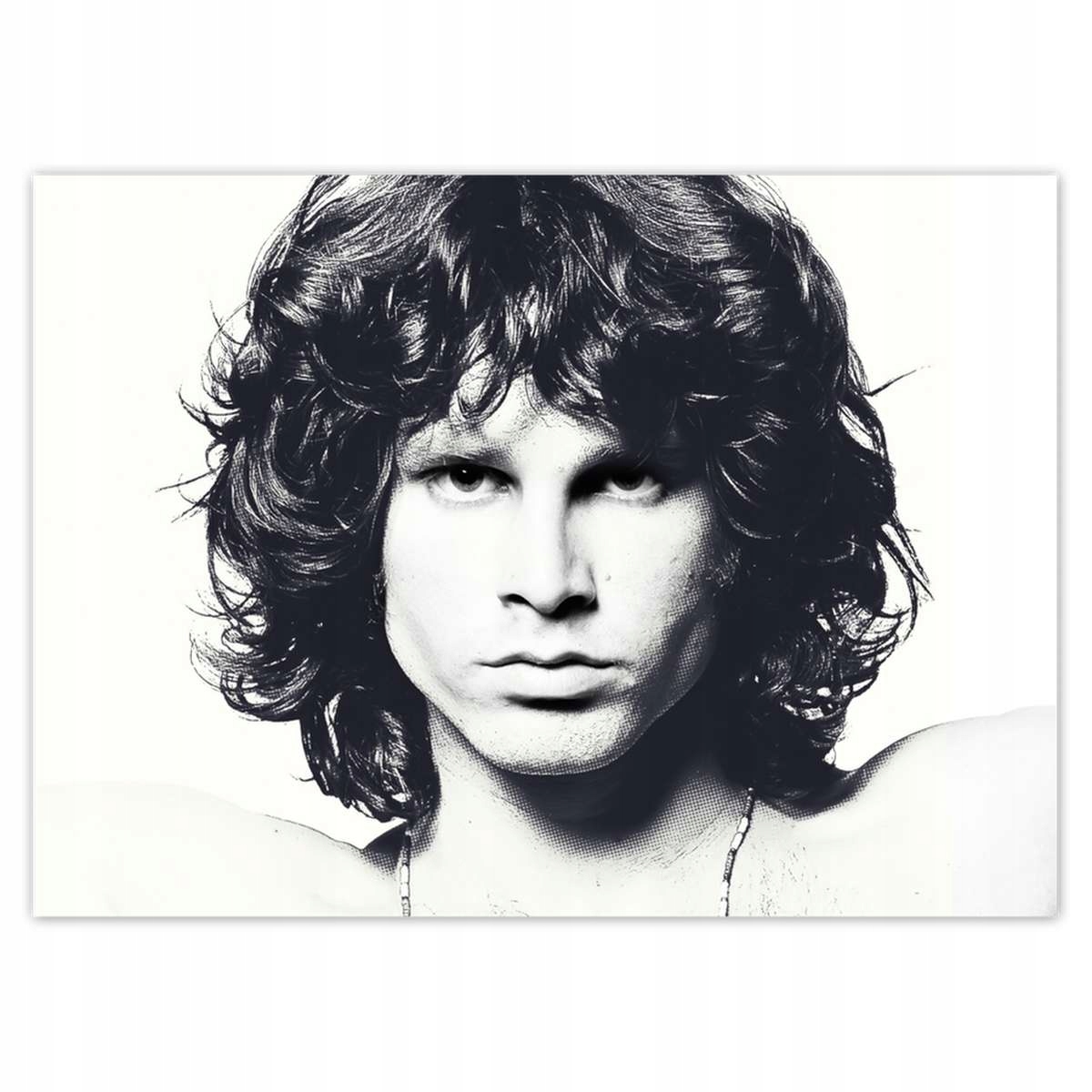 Fototapety 254x184 Spevák The Doors