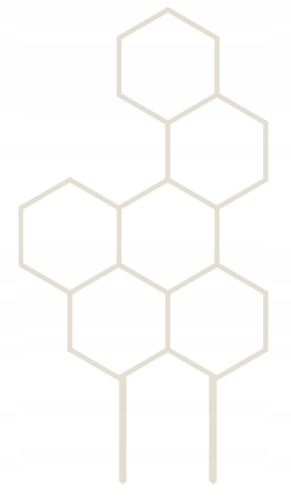 PODPÓRKA KWIATÓW ROŚLIN DRABINKA PERGOLA MIÓD