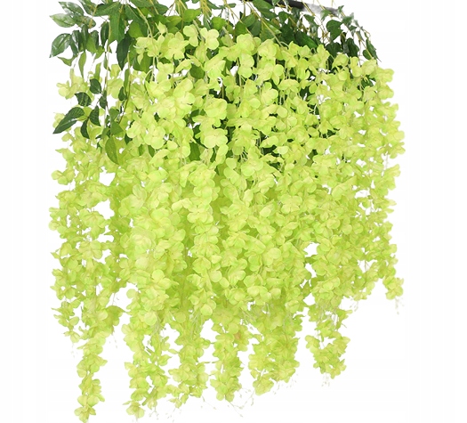 

XXL 12x wisteria glicynia girlanda pnącze