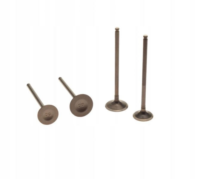 460044 - Выпускной всасывающий клапан Zongshen dt190 kpl