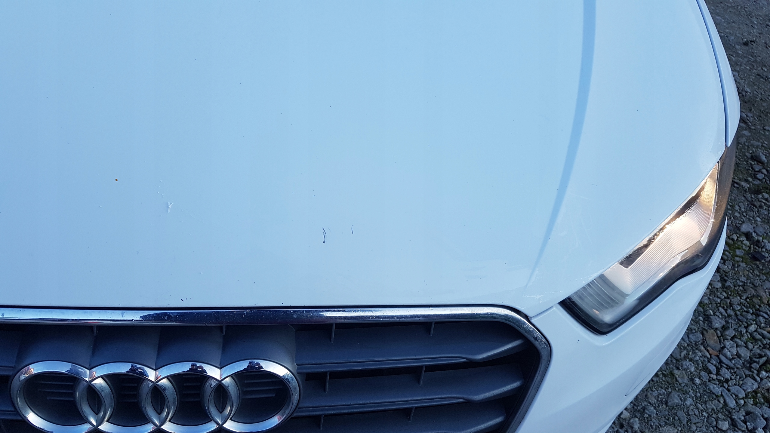 Motorhaube Audi A3 8V Bonnet Hood - Thumbnail 6