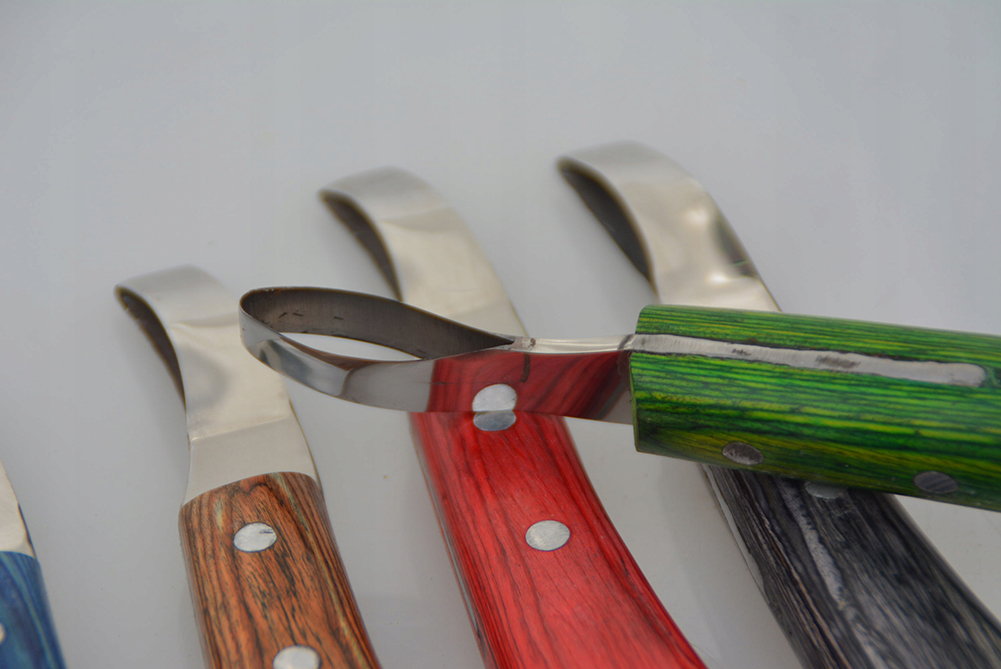 NÓŻ ŁEZKA DO KOREKCJI KOPYT -RACIC PROFESJONALNY Rodzaj akcesoria do pielęgnacji