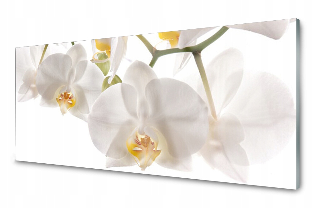 

Panel szklany do kuchni Kwiaty Roślina 125x50