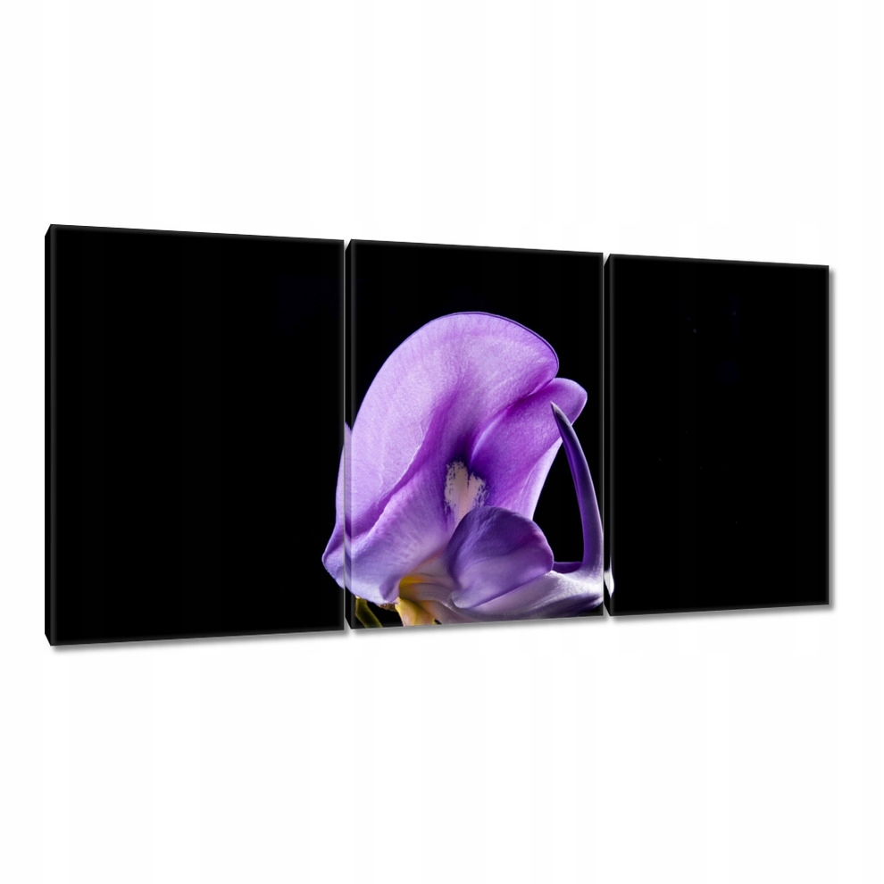 

Obrazy 120x60 Dzień Kobiet Prezent Love
