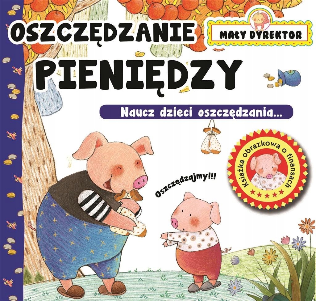 MAŁY DYREKTOR OSZCZĘDZANIE PIENIĘDZY KSIĄŻKA ARTI