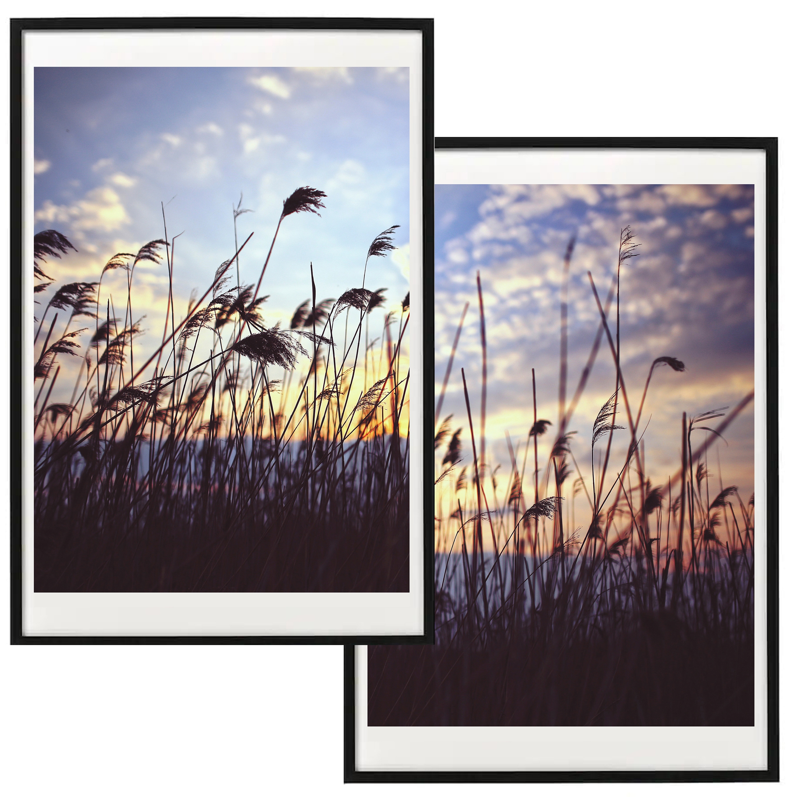 

Zestaw Plakat Boho Wysoka Trawa Sypialnia 50x70