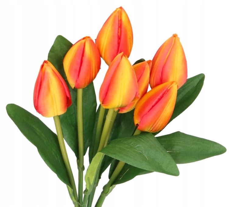 

Tulipany Bukiet Tulipanów Tulipan 44CM 7GAŁ