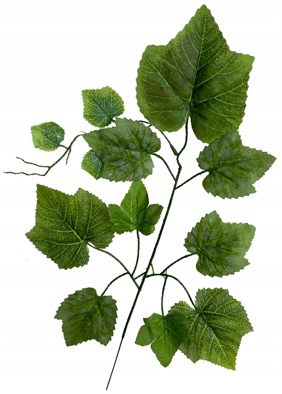 LIŚĆ SZTUCZNY WINOGRON WINOROŚL GAŁĄZKA DEKORACYJNA OZDOBNA