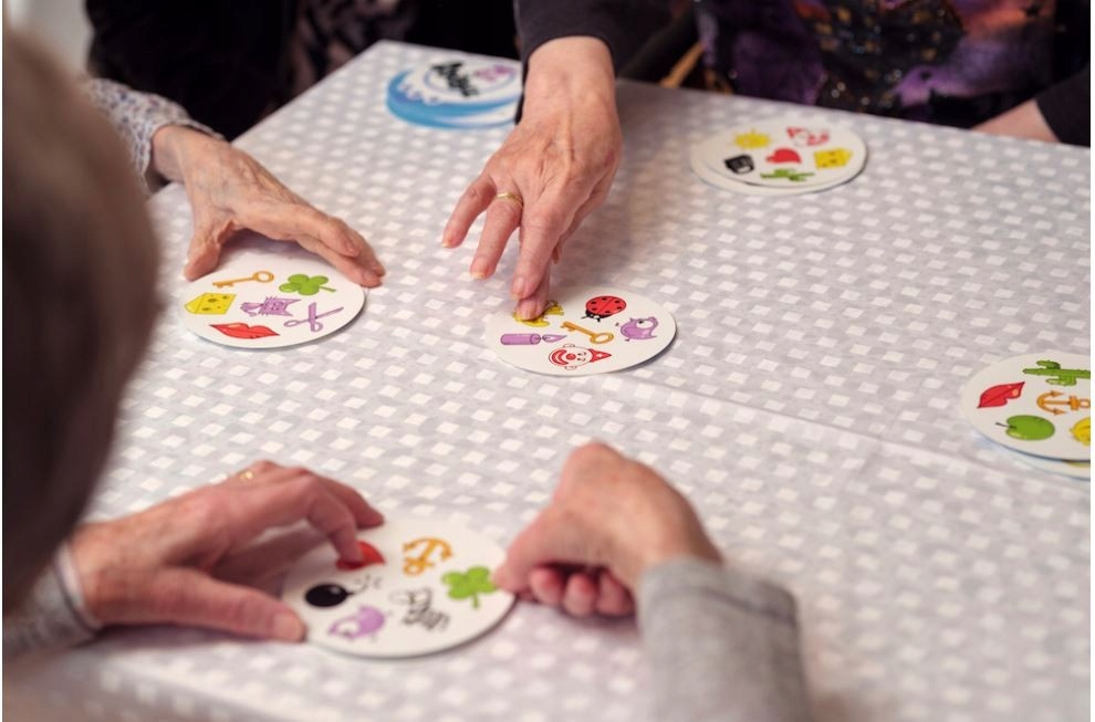 REBEL Gra Dobble Access+ Kod producenta 3558380110453