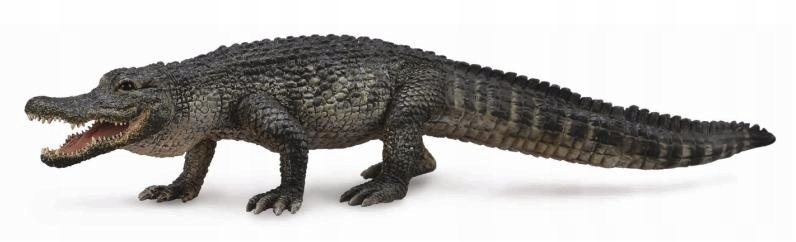 

Aligator Amerykański CollectA 88609 L