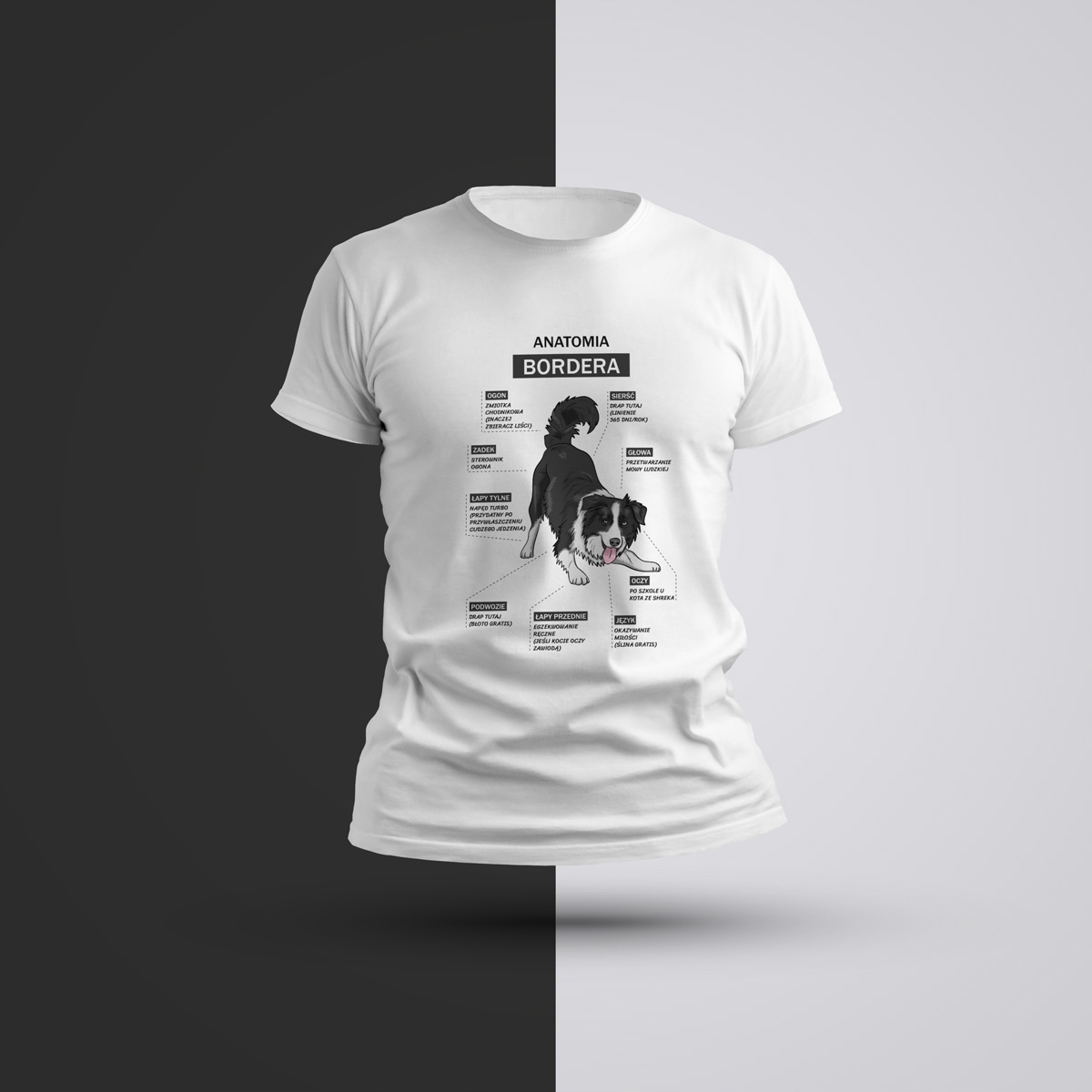

Koszulka męska gładka anatomia border collie