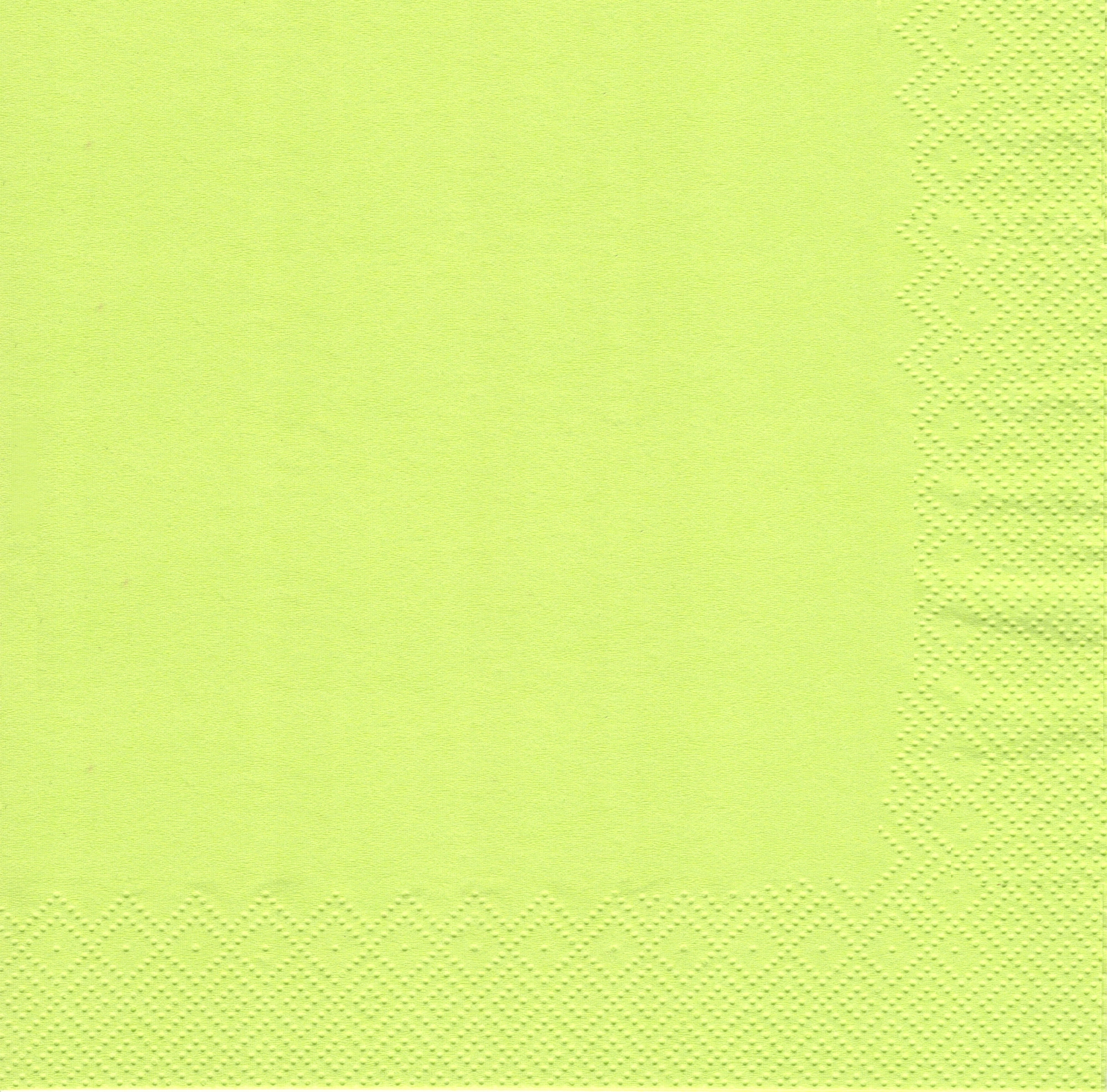 

Serwetki Papierowe 33x33 cm 2w Lemonka 250szt