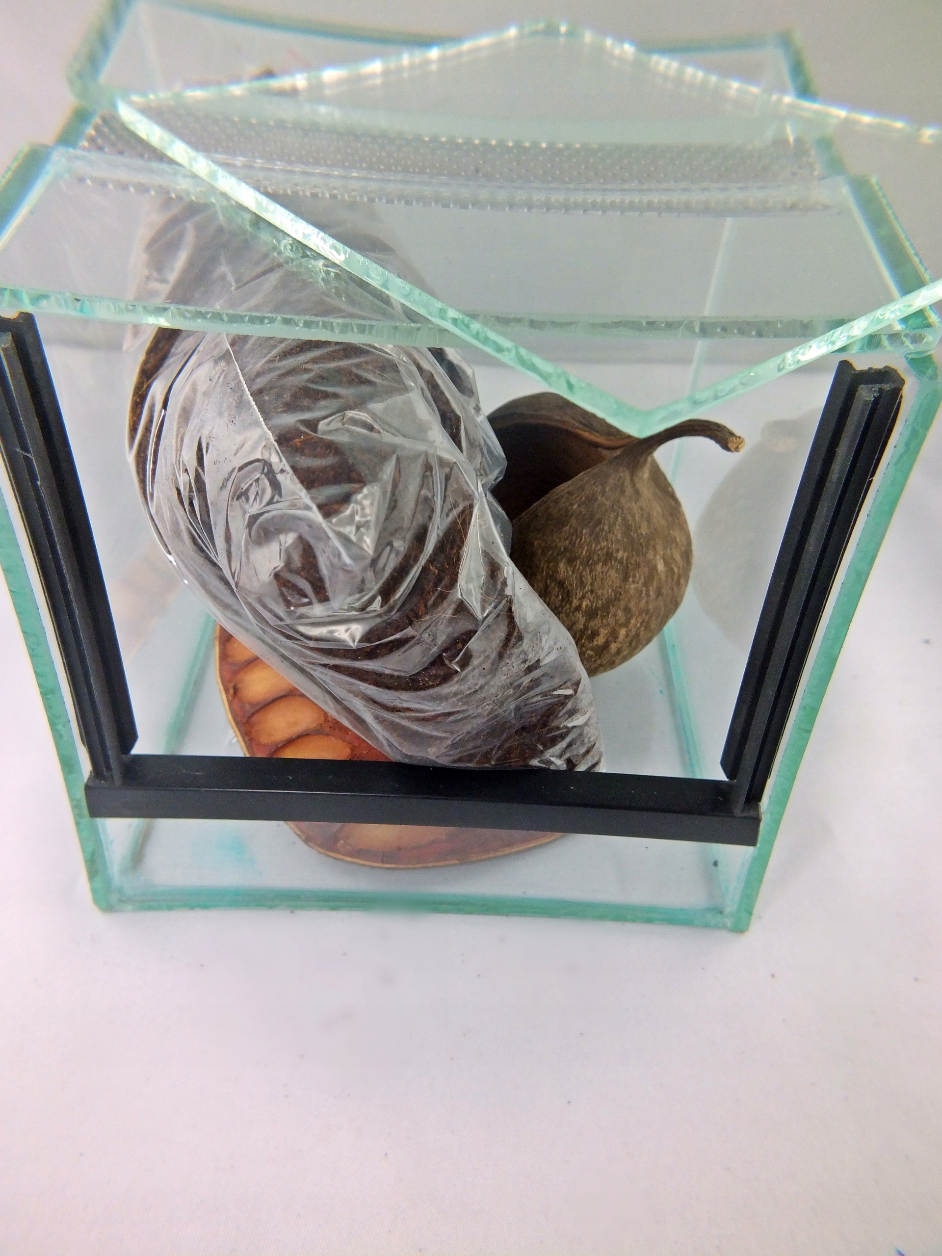 Levně Terárium 15x15x15 s dekorem (SpidersForge)