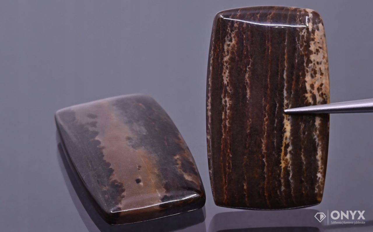 Zkamenělé dřevo nízký kabošon cushion 33x20 mm