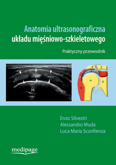 

Anatomia Ultrasonograficzna Układu Mięśniowo-szkie