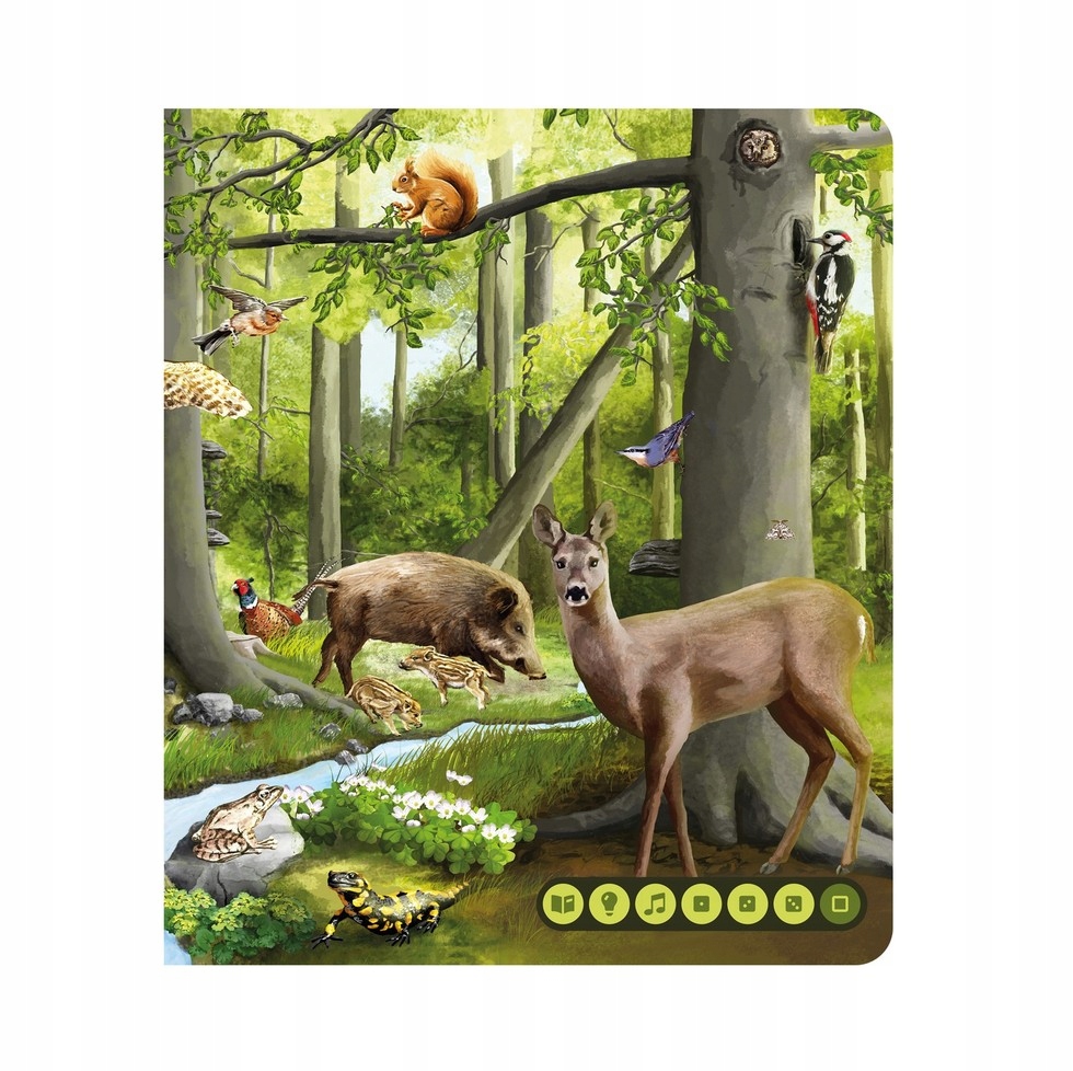 CZYTAJ Z ALBIKIEM ŚWIAT ZWIERZĄT KSIĄŻKA ALBIK Autor Praca zbiorowa