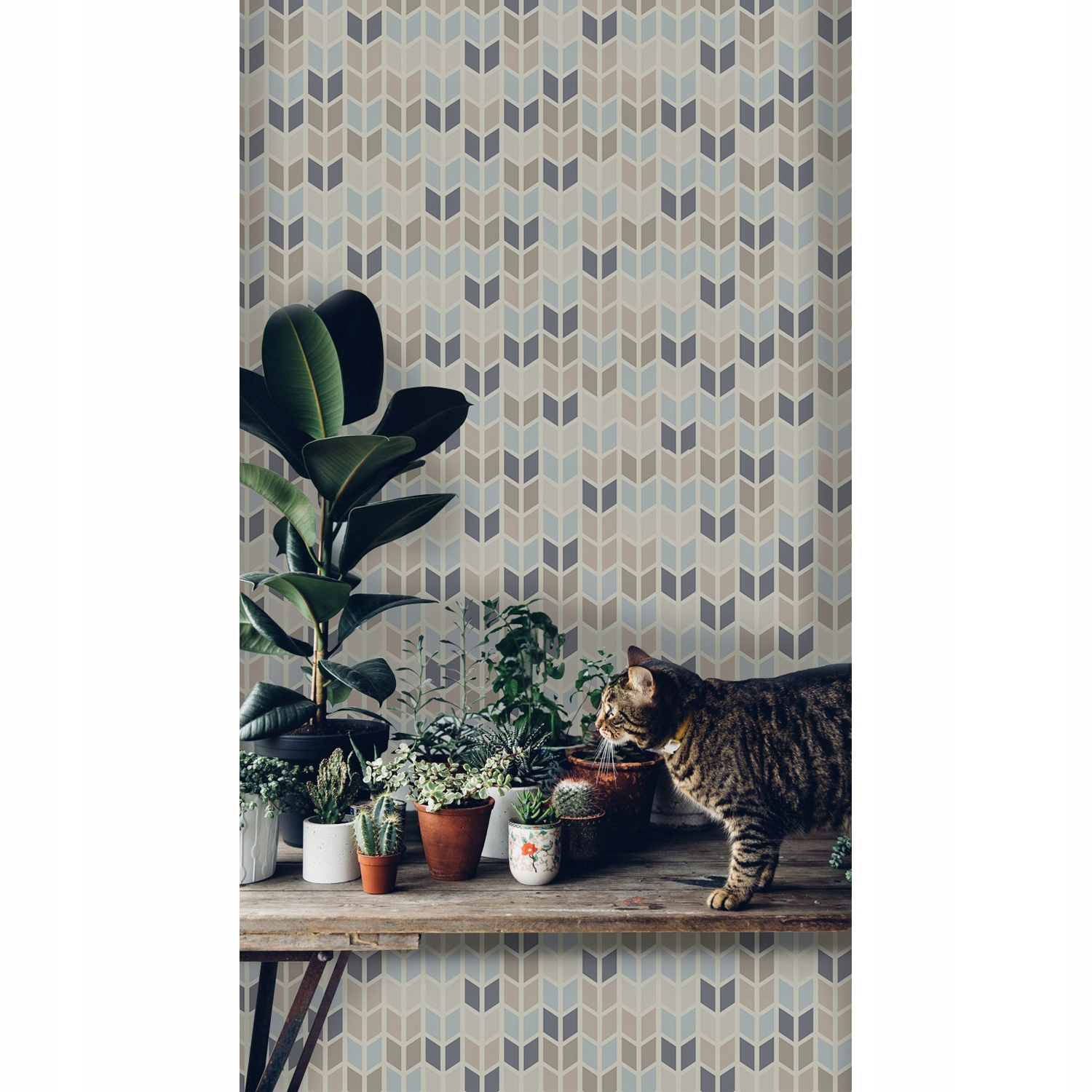 

Tapeta flizelinowa Geometryczna tekstura 254x184cm