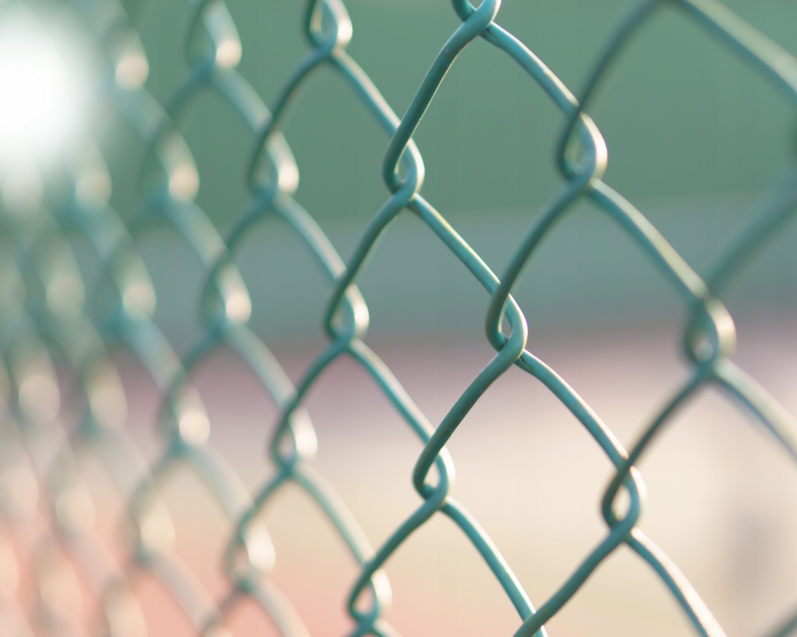 SIATKA SZEŚCIOKĄTNA ZIELONA 25x25mm/0,50M ROLKA 5M Producent inna