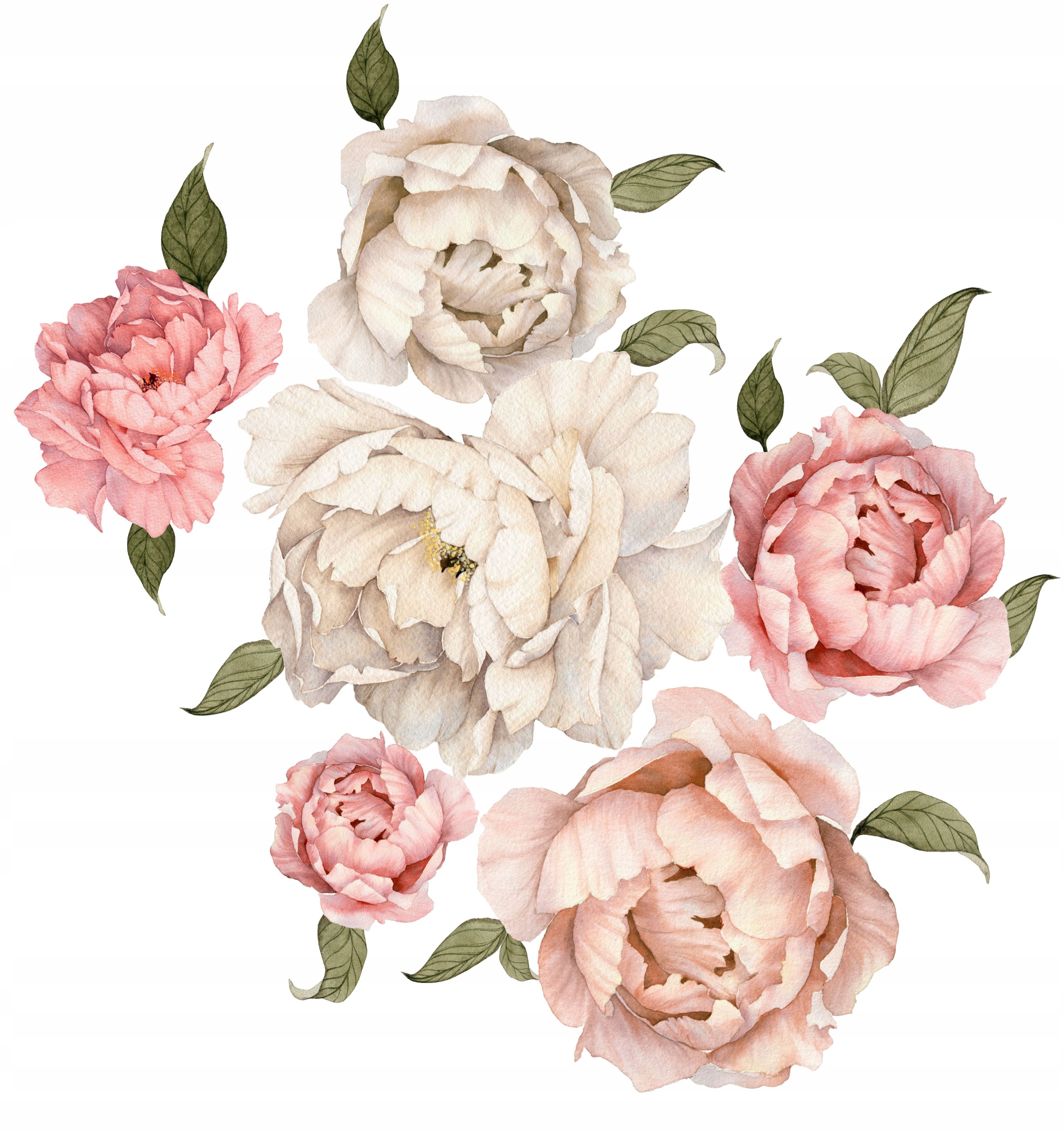 

Naklejki na ścianę zestaw Kwiaty Piwonie 2 50x50cm