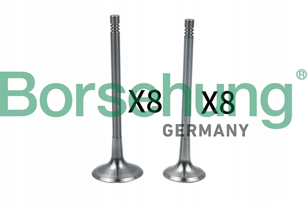 B18634 - Выпускной впускной клапан KPL для VW PASSAT B6 2.0 FSI