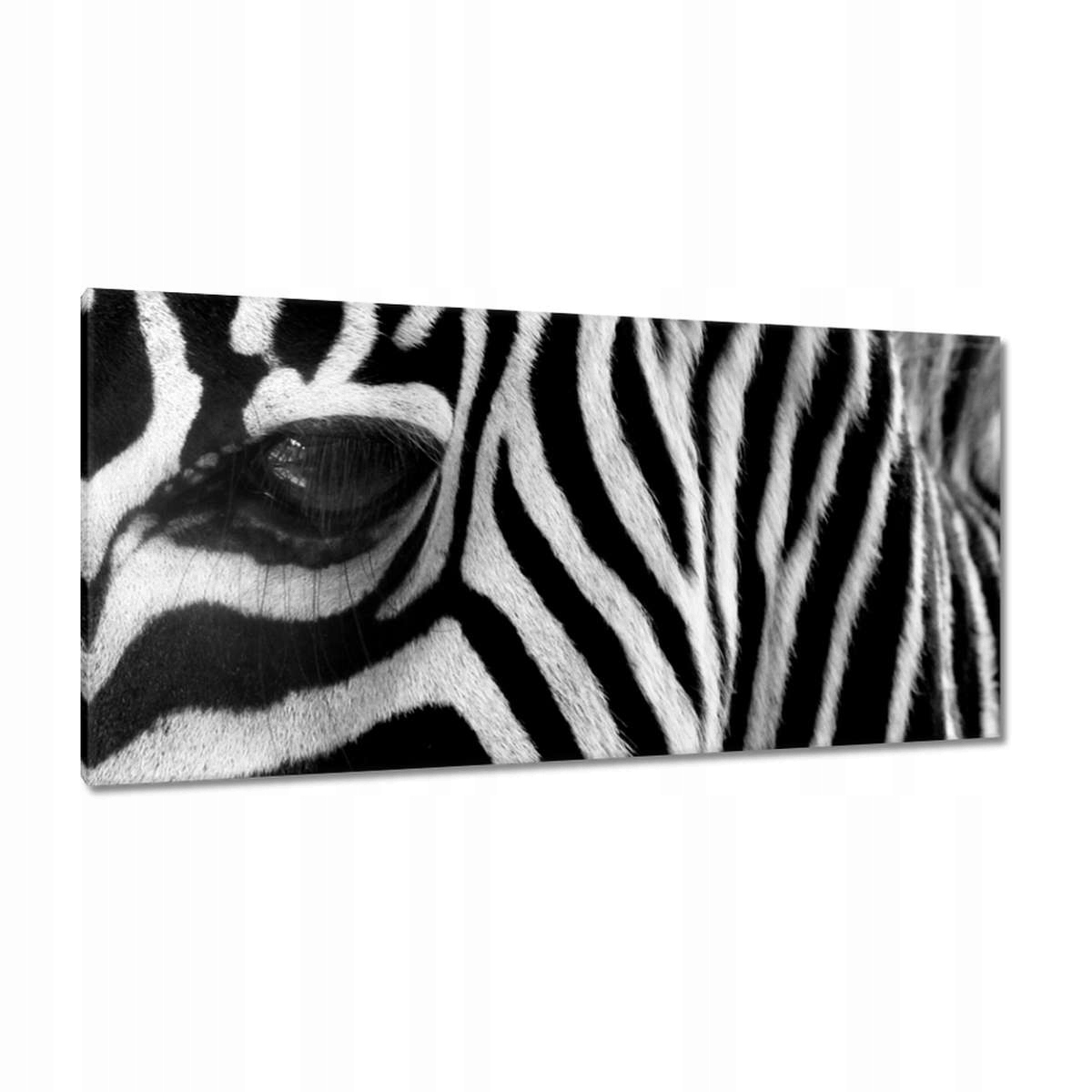Obrazy 115x55 Černobílé pruhy Zebra
