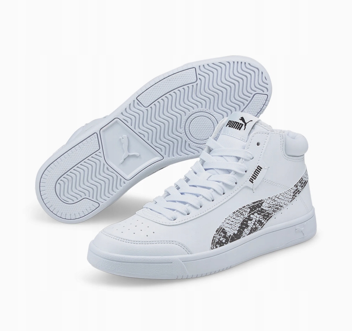 COURT LEGEND REPTILE