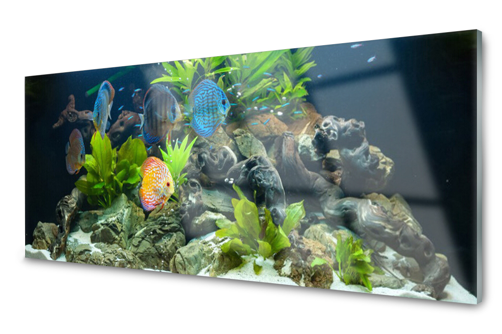 

Panel szklany do kuchni Ryba Liście 125x50