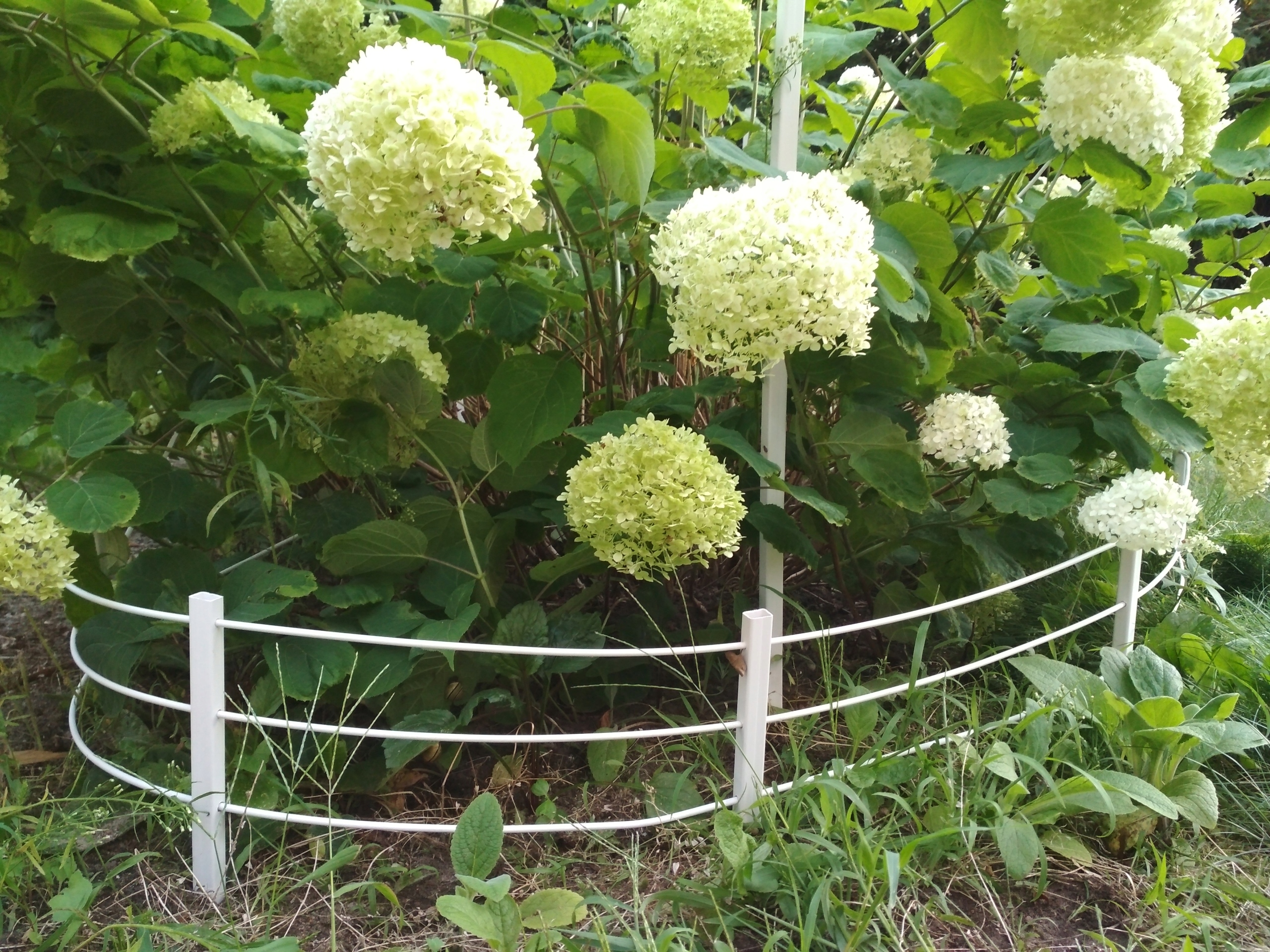 Płotek ogrodowy RANCZO 5m Gardener produkt polski Producent Gardener