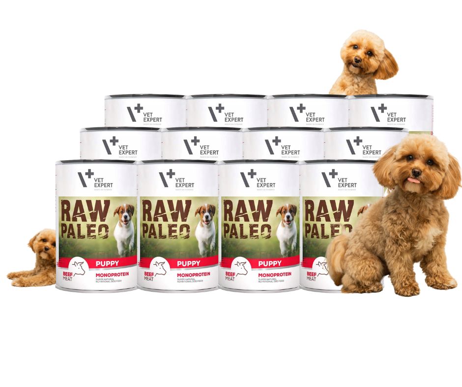 Levně Vlhké krmivo pro štěňata hovězí maso Raw Paleo Puppy sada 12 x 400 g