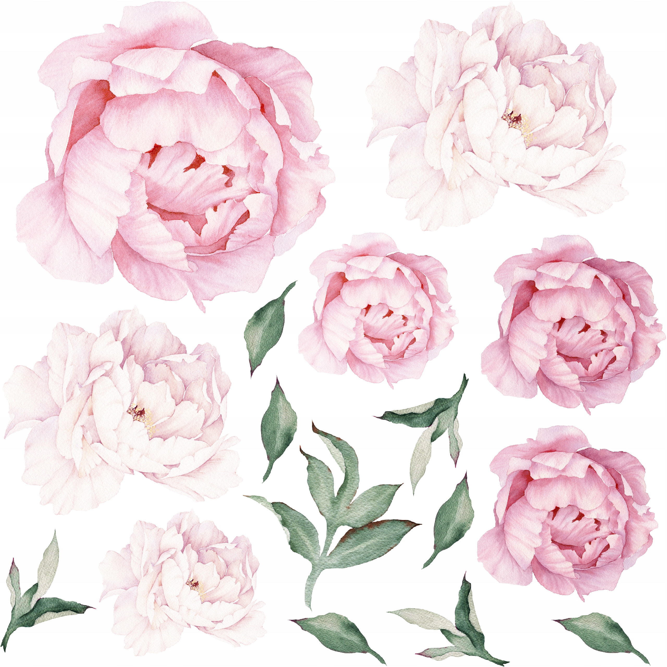 Naklejki na ścianę RÓŻÓWE KWIATY PIWONIE ROŚLINY