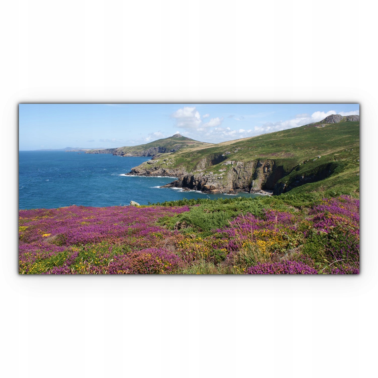 

Canvas do sypialni 120x60 Klif Krajobraz Rośliny