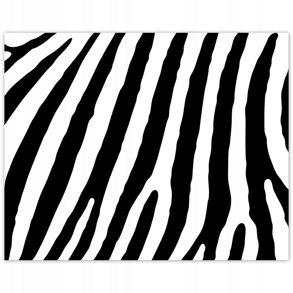 

Plakat 50x40 Zebra Paski