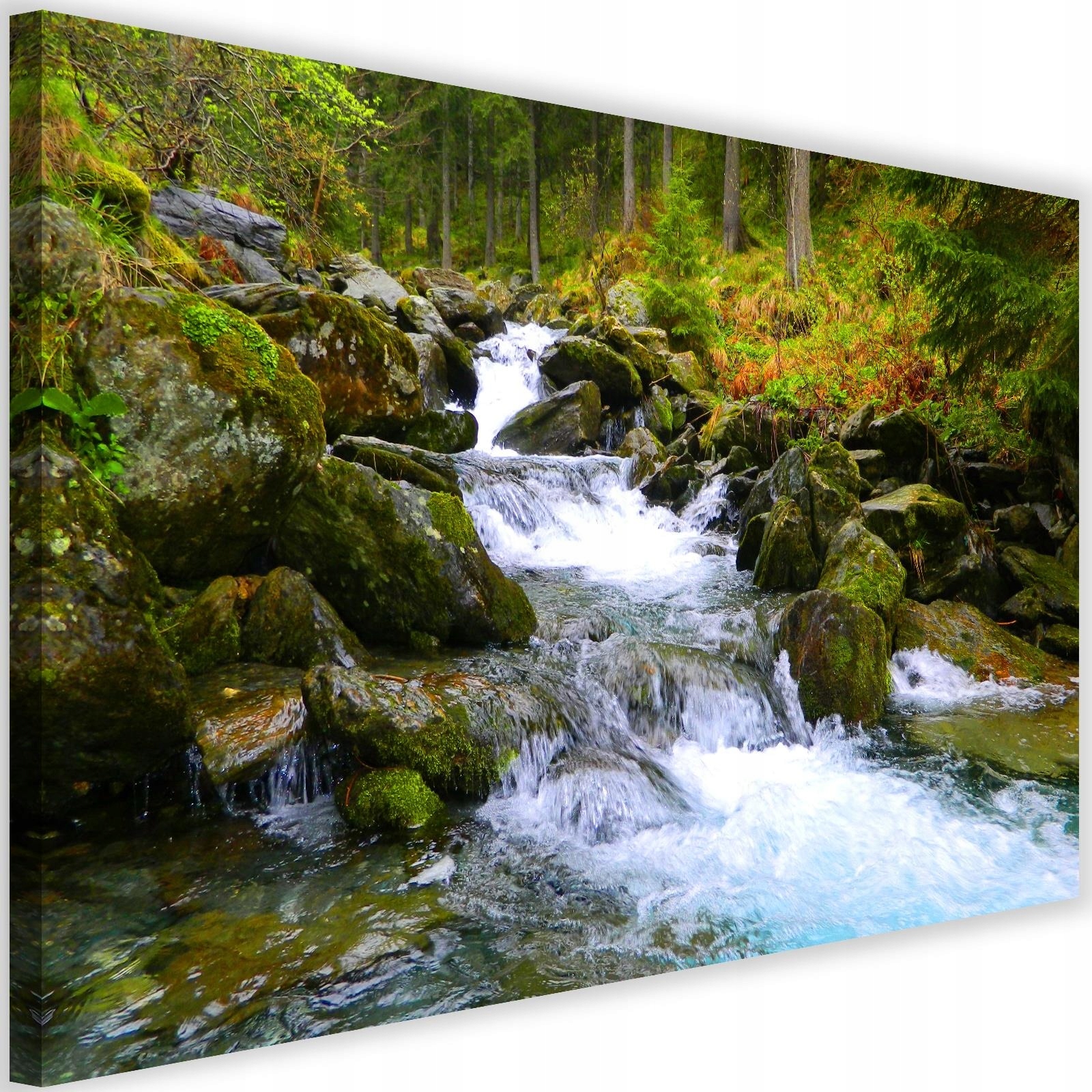 

Obraz Las Natura Górski Potok Do Salonu 60x40