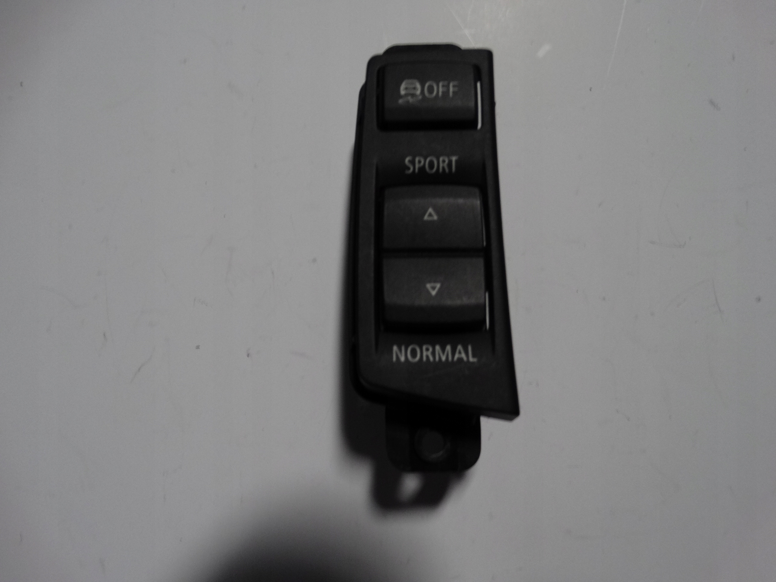 perfect condition PANEL DYNAMIKI running BMW Z4 E89 1