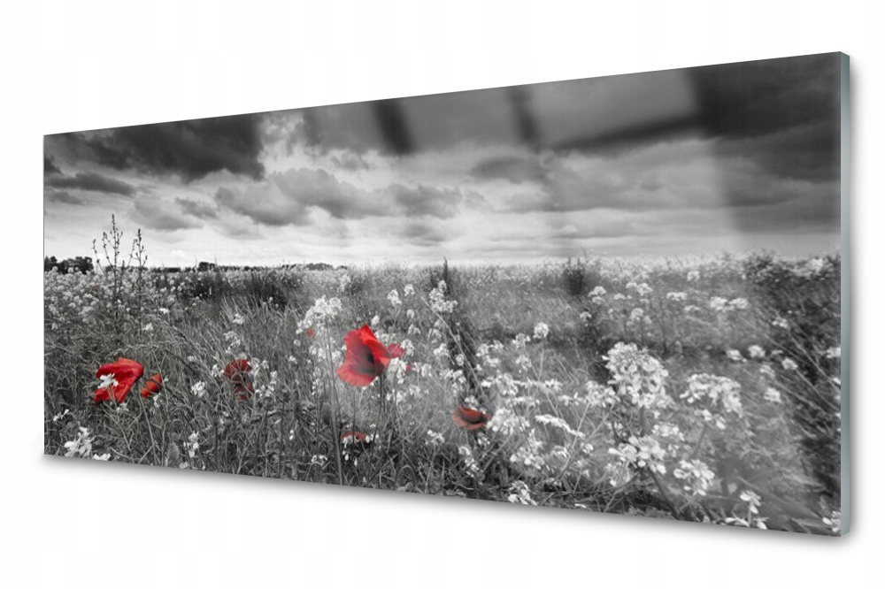 Sklenený panel do kuchyne Lúka Kvety 125x50