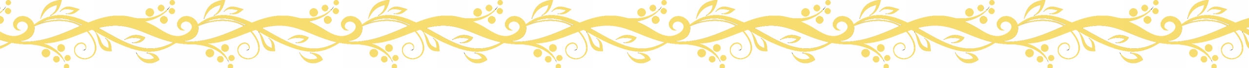 SMARTBAND SMARTWATCH ZEGAREK SPORTOWY PULS PRO SPORT FIT SMS OPASKA MENU PL Rodzaj cyfrowe