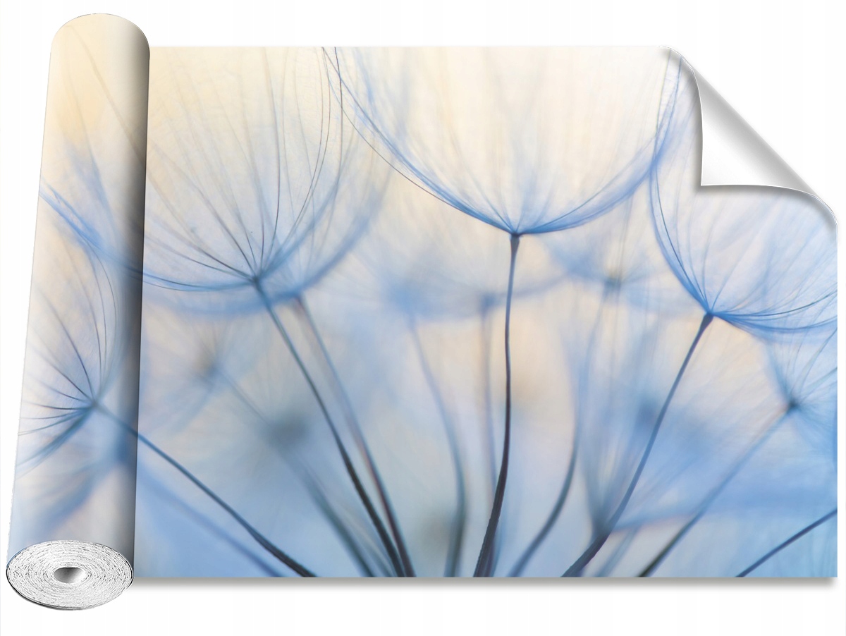 

Tapeta Samoprzylepna MagicStick Dmuchawiec 104x70