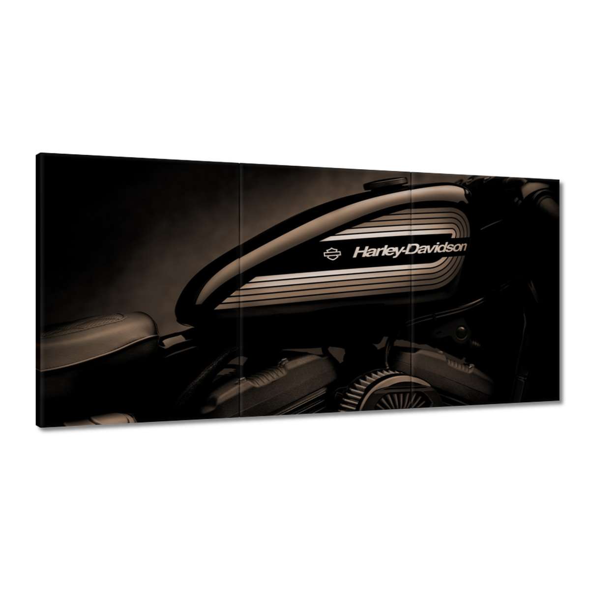 Obrazy 180x90 Harley Davidson Motocykel