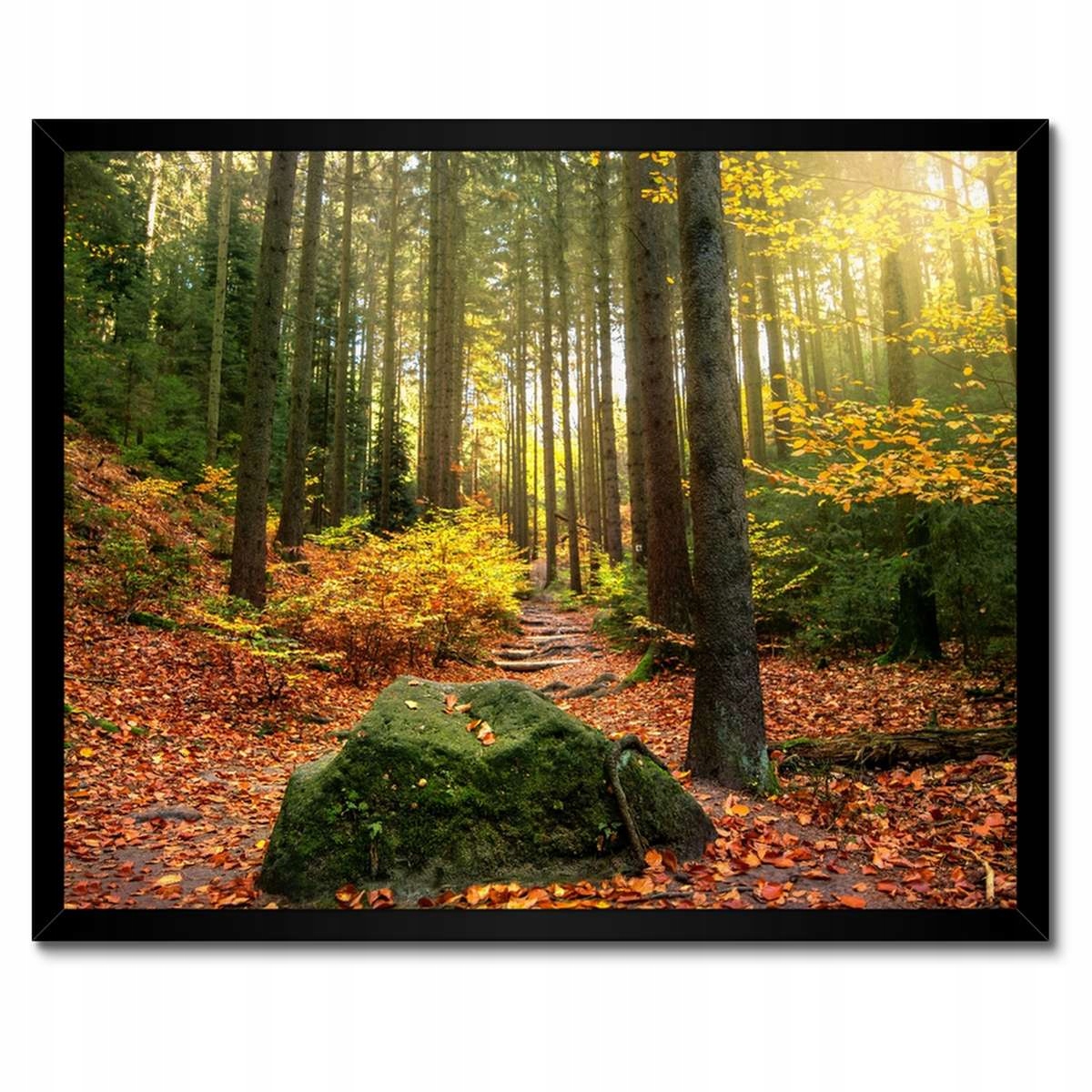 Plakáty v rámu 50x40 Krajina