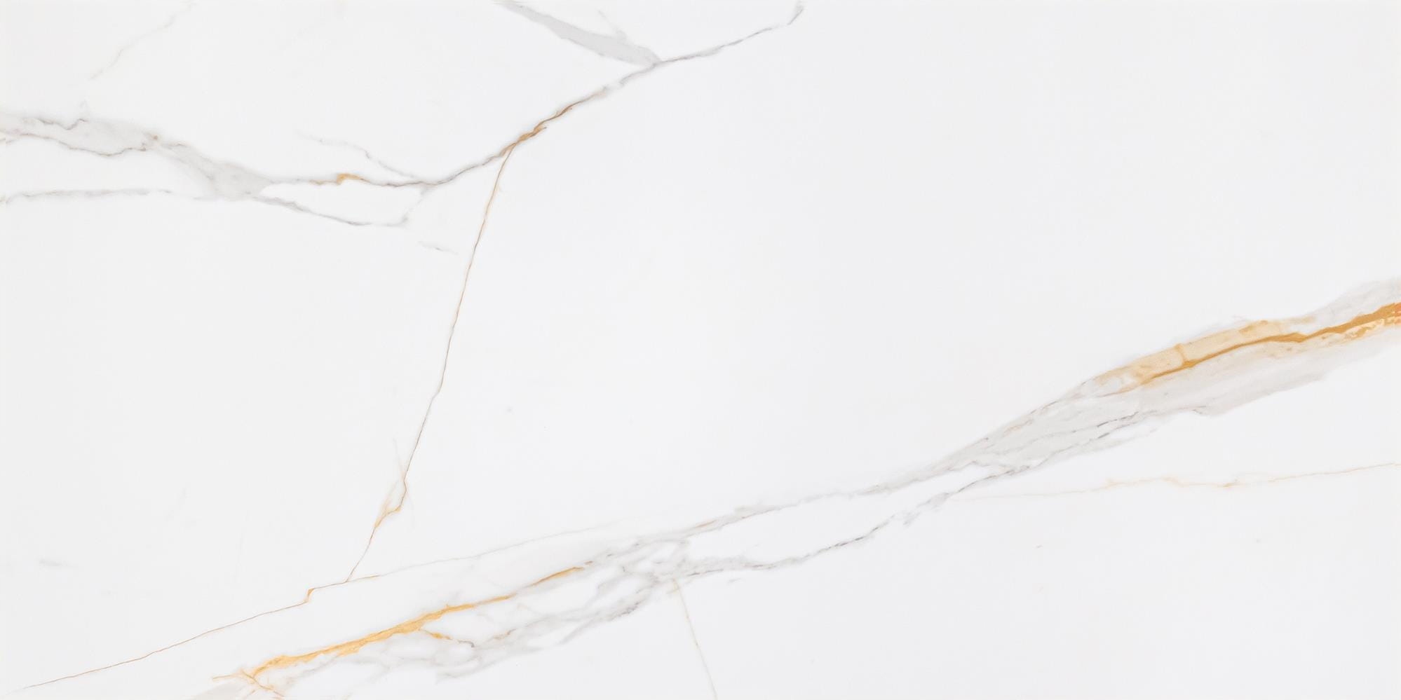 Płytki gresowe CORIENTO GOLD MAT 120X60 G.1