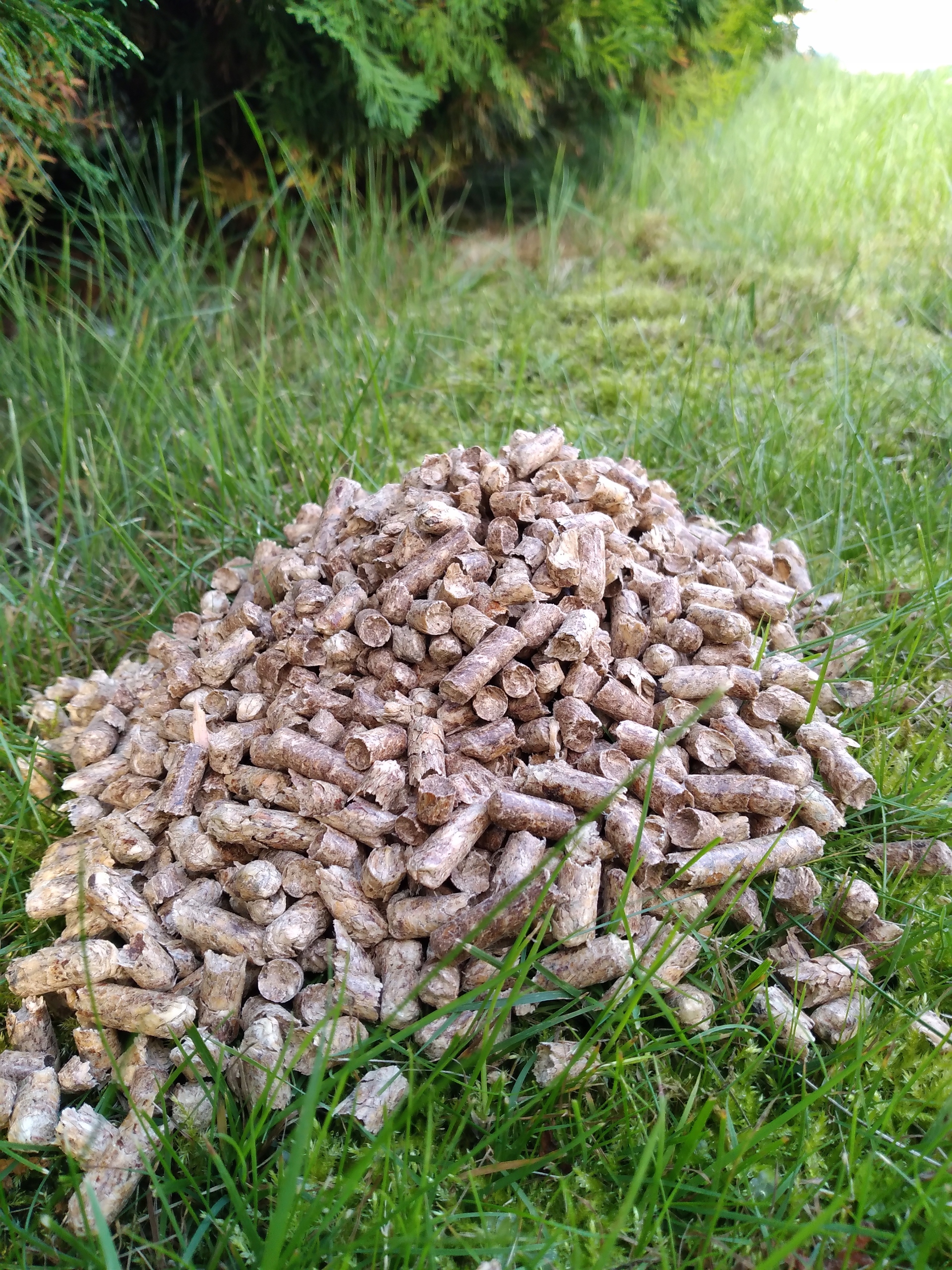 PELLET DRZEWNY OPAŁOWY EKO PELLET PO Typ produktu pelet