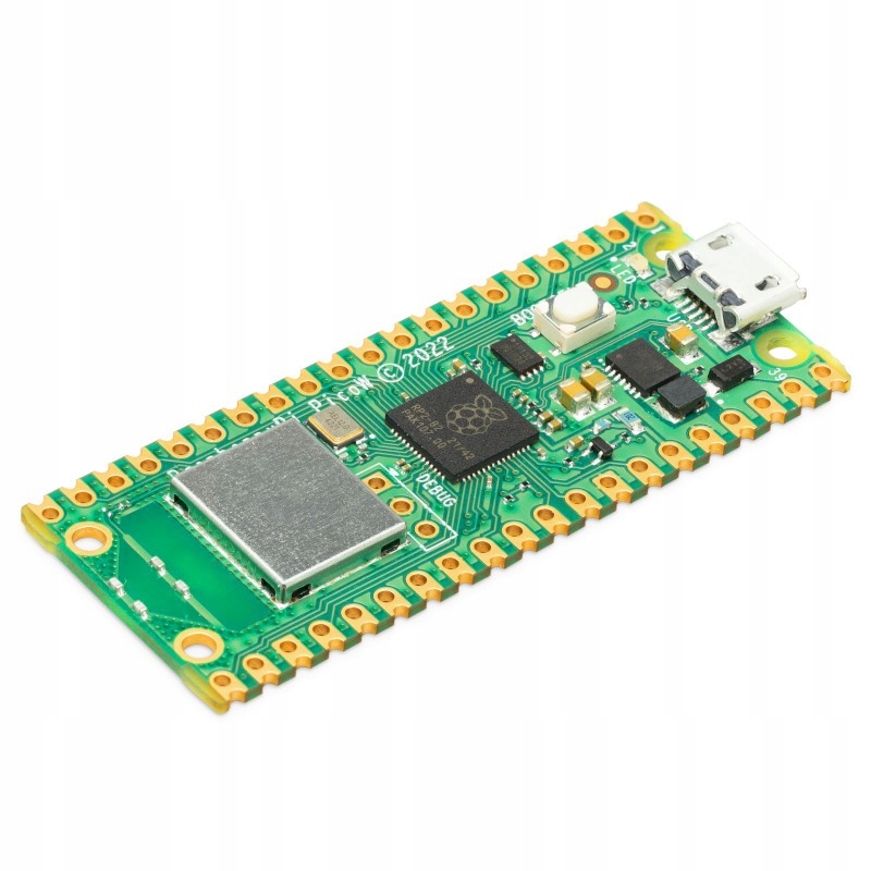 

Raspberry Pi Pico W
