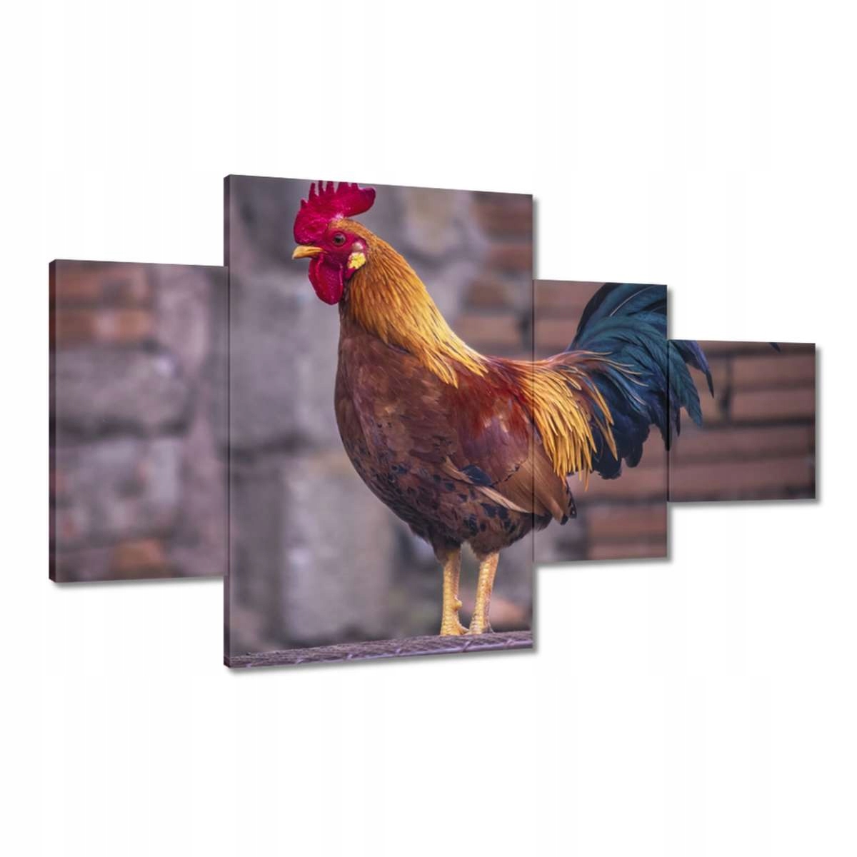 Obrazy 130x80 Kohout Skutečný bojovník