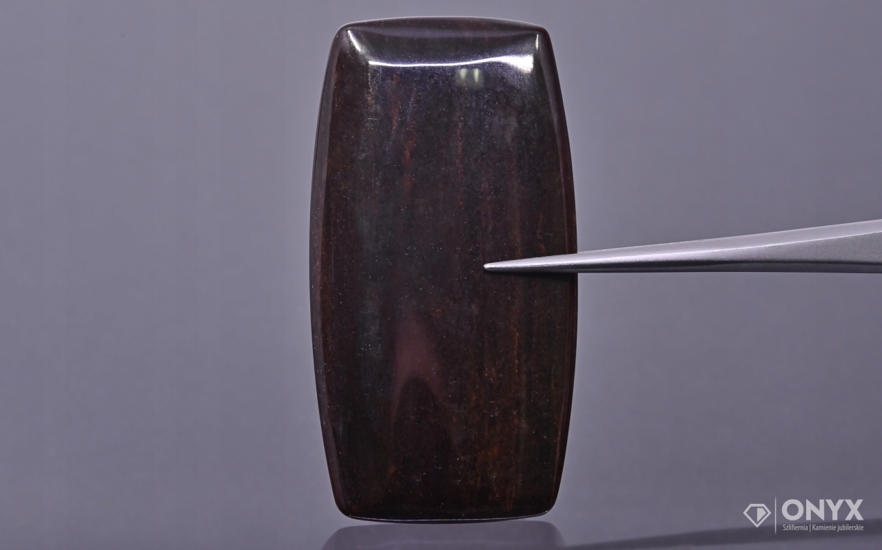 Zkamenělé dřevo nízký kabošon cushion 43x22 mm