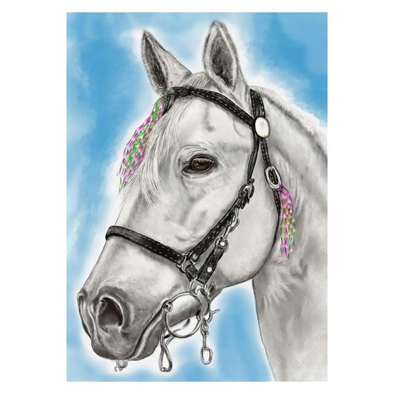 Diamond painting diamantová mozaika Bílý kůň
