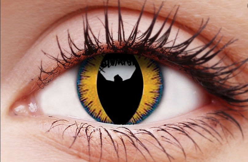 

Soczewki kolorowe Crazy Lens Wolf Moon