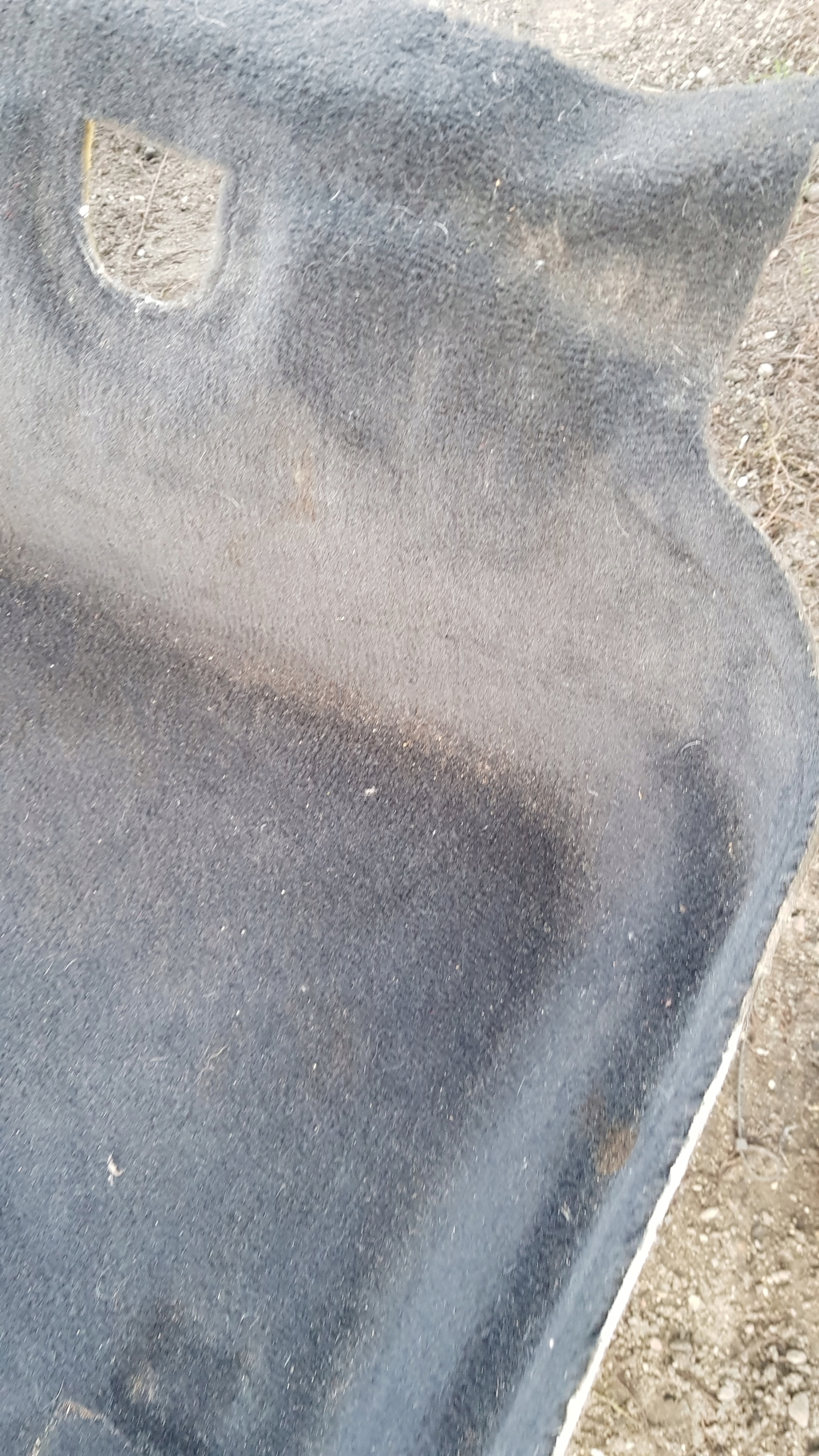 MERCEDES W203 COUPE mats carpet front rear part