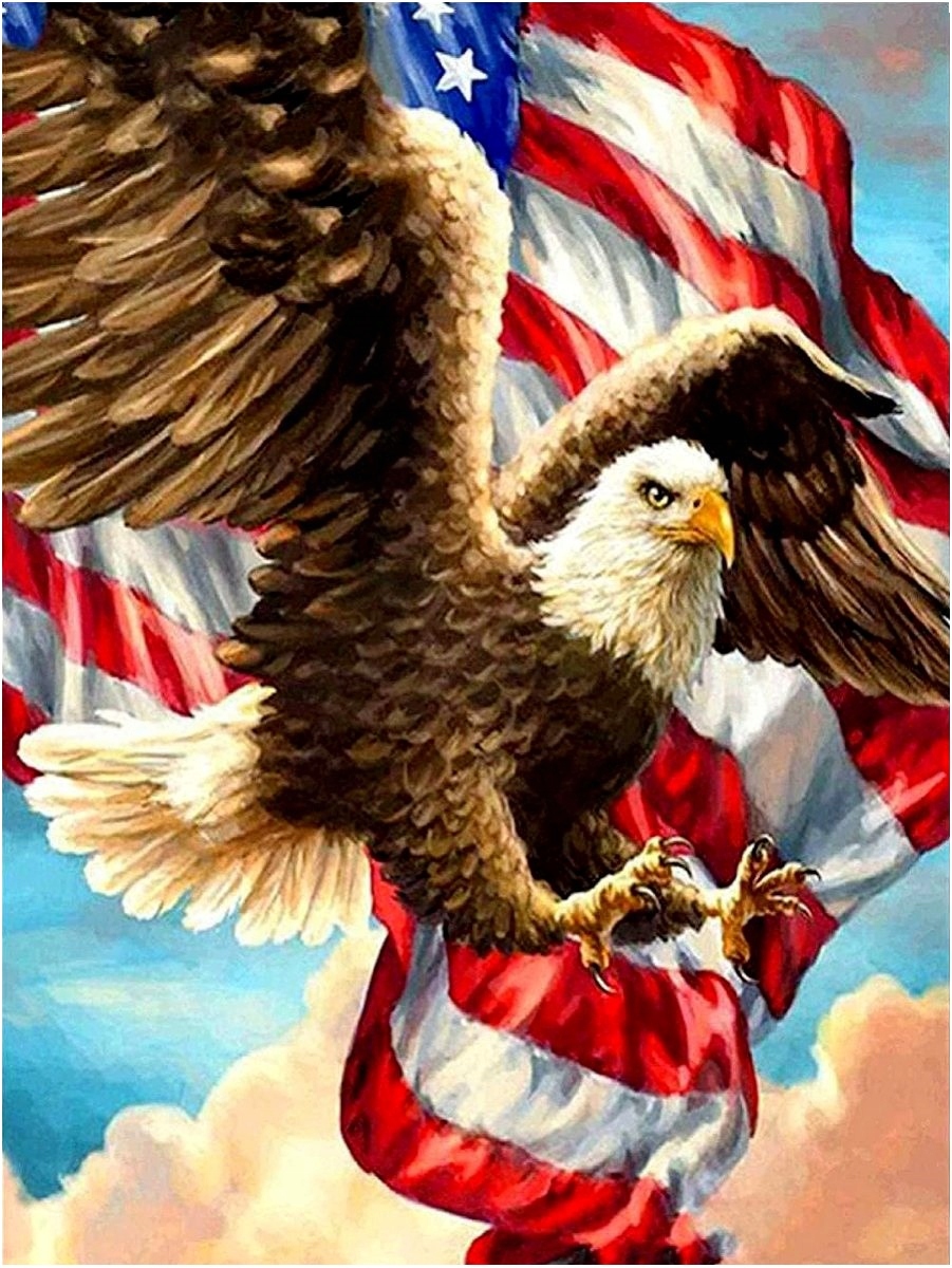 Malowanie Po Numerach Obraz do malowania NA RAMIE