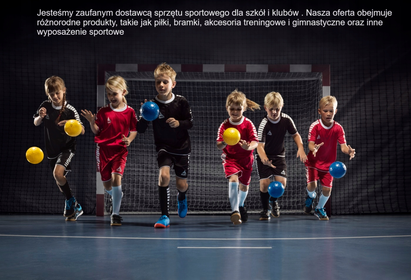 WOREK /SIATKA NA PIŁKI VINEX Rodzaj worek