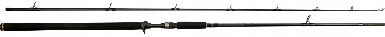 Westin W3 Powercast-T 2nd Xxh 2,48m 40-130g